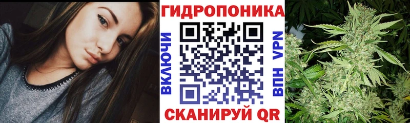 Купить наркотики цена Сольвычегодск Бошки Шишки  СОЛЬ  ГАШ  Амфетамин  МЕФ 