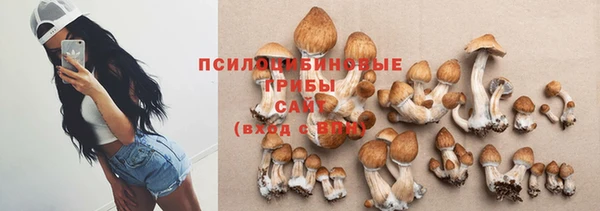 скорость Медвежьегорск
