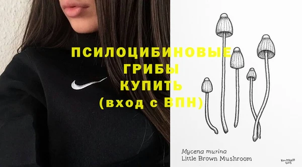 марихуана Магадан