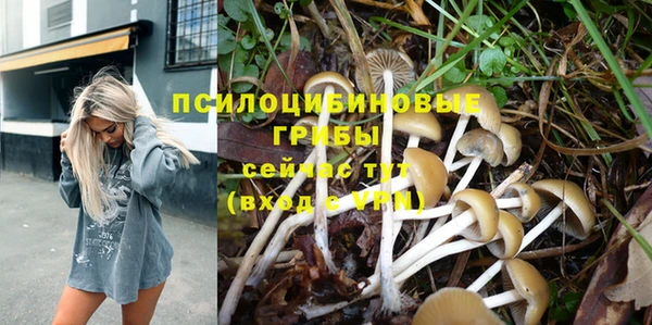 прущий лед Майский