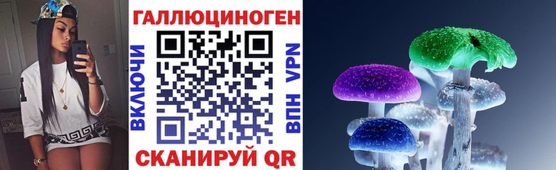 где купить наркоту Сольвычегодск Галлюциногенные грибы MAGIC MUSHROOMS